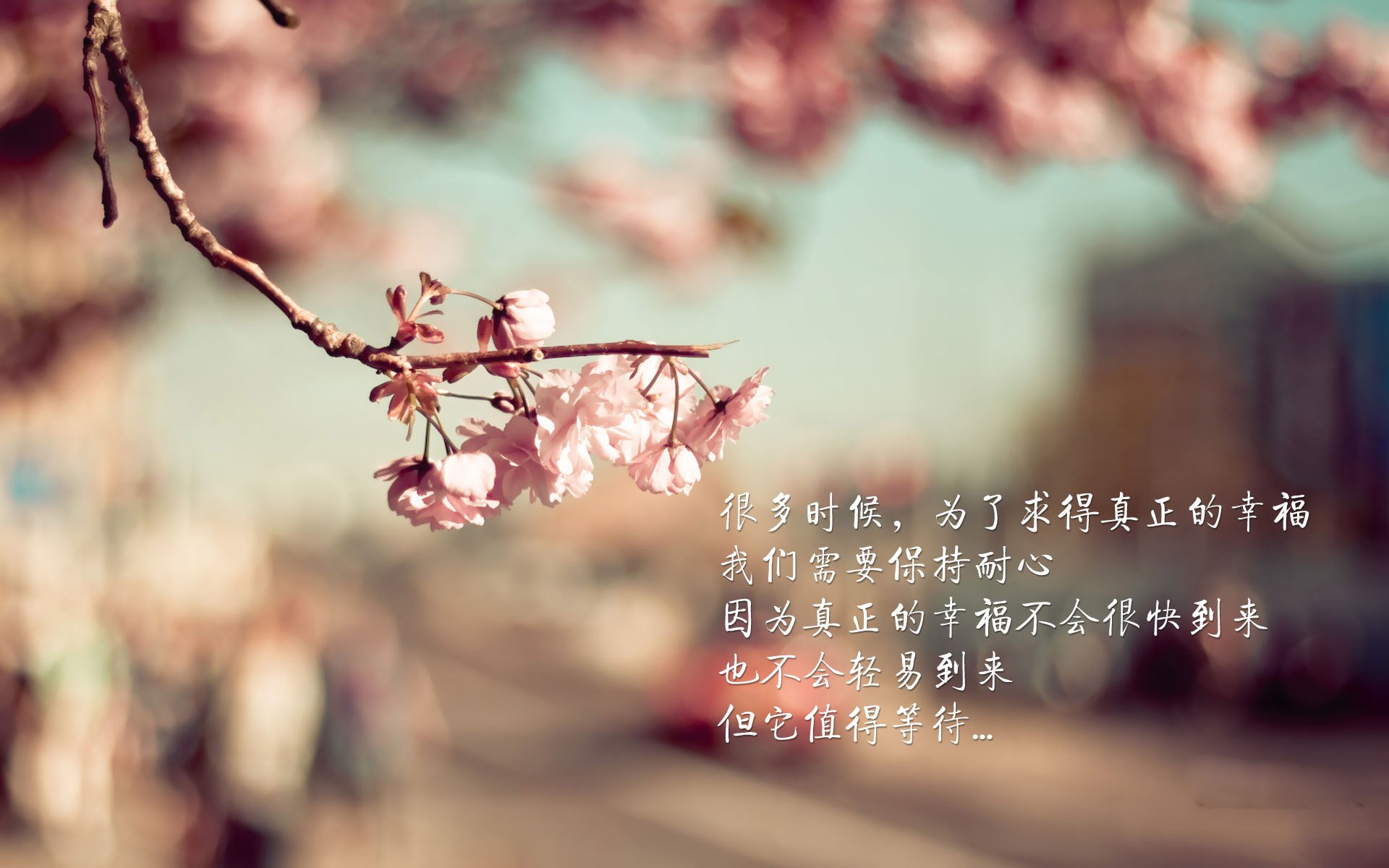 “中超豪门争冠局势逐渐明朗”，中超豪门哪家强